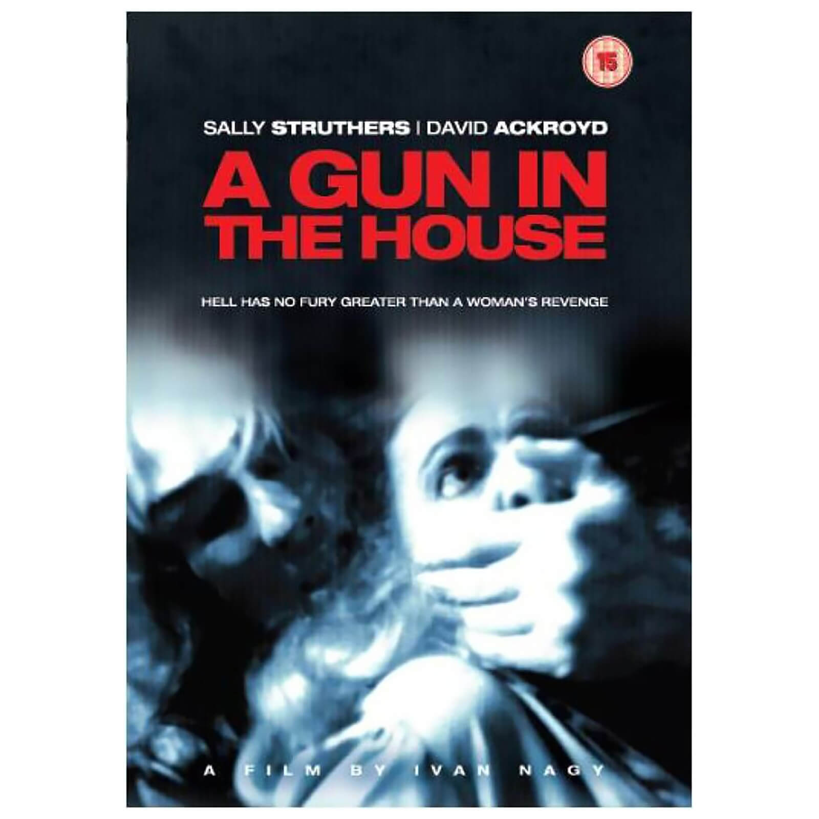 A Gun in the House A Gun in the House von Cornerstone Media