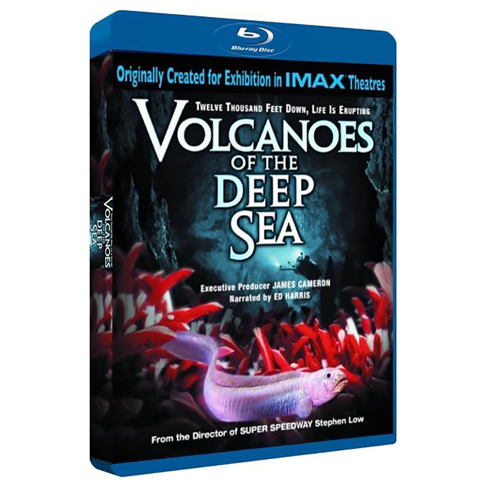 Volcanoes Of The Deep Sea von Cornerstone Media