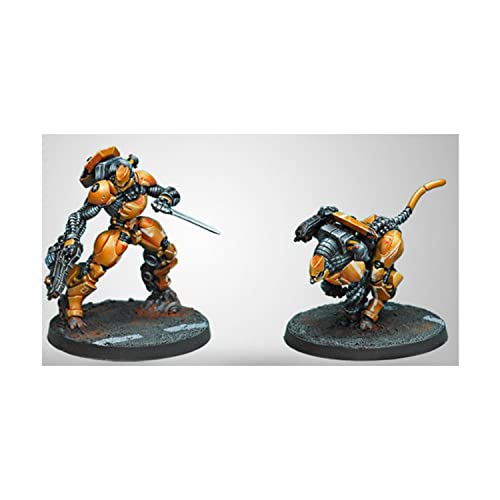 Corvus Belli Su-Jian Immediate Action Unit Box (2) (280381-0568) by von Corvus Belli