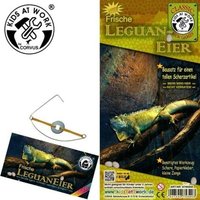 Corvus A750340 - Leguan Eier Scherzartikel Bausatz von Corvus