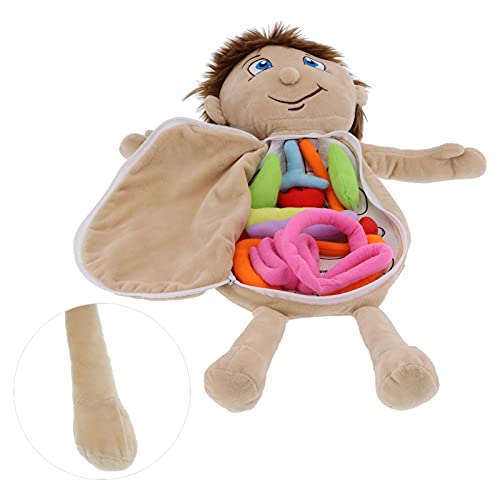 Cosiki Anatomiepuppe, Anatomiespielzeug Vorschulbildung Bildungsorgel Plüschspielzeug für Menschliche Körper Organe Anatomie für Anatomie Lernpuppe Menschlicher Körper Lernen (#1) von Cosiki