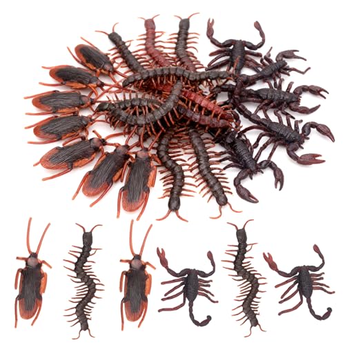 30 Stück Realistische Insekten aus Kunststoff, Kakerlaken, Halloween, Centipide, Skorpione, Kakerlaken, für Halloween-Party-Dekoration, Mini-Insekten, Halloween-Figur und Insektenfänger aus Flieder 30 Stück Realistische Insekten aus Kunststoff, Kakerlaken, Halloween, Centipide, Skorpione, Kakerlaken, für Halloween-Party-Dekoration, Mini-Insekten, Halloween-Figur und Insektenfänger aus Flieder von Cosswe