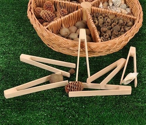 Cosy Wooden Tweezers (6pk) - 27159 von Cosy