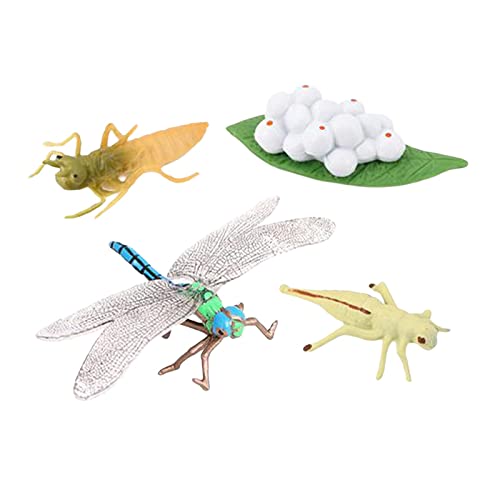 Simulation Lebenszyklus-Figuren, Libellen-Figuren für Partygeschenke, Kinder, Libelle Simulation Lebenszyklus-Figuren, Libellen-Figuren für Partygeschenke, Kinder, Libelle von Courtieyeardceastea