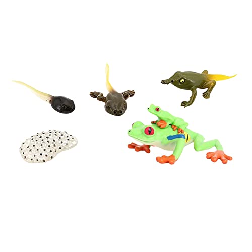 Simulation Lebenszyklus-Figuren, Libellen-Figuren für Partygeschenke, Kinder, rotes Auge, Baumfrosch Simulation Lebenszyklus-Figuren, Libellen-Figuren für Partygeschenke, Kinder, rotes Auge, Baumfrosch von Courtieyeardceastea