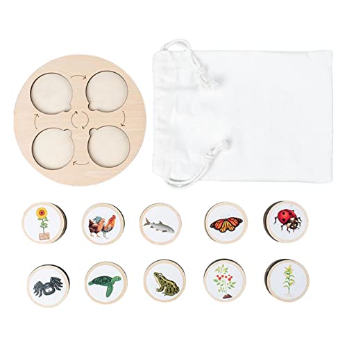 Wood Board Life Cycle Stages Cognitive Imagination Classroom for Boys Girls Type 2 Wood Board Life Cycle Stages Cognitive Imagination Classroom for Boys Girls Type 2 von Courtieyeardceastea