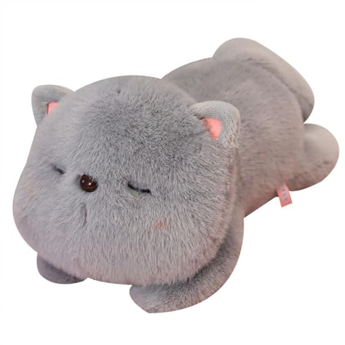 Cpoeof Stofftier Katze - Kuscheltier Ktzchen Plschkissen, niedliches Flauschiges Spielzeug fr Kinder, Jungen & Mdchen, Kawaii Plschkatze Geschenk fr Geburtstag, Weihnachten (Grau, 55cm) von Cpoeof
