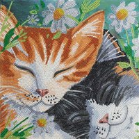 Crystal Art Leinwandbild Katzen 30x30 cm Crystal Art Leinwandbild Katzen 30x30 cm von Craft Buddy Ltd.