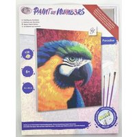 Craft Buddy PBN3040E - Paint by Numbers, Paradise, Papagei, 30x40 cm von Craft Buddy