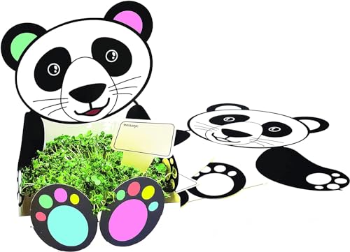 Pflanzen- und Wachstumskresse-Kit | Kartenhalter für Kressentiere | Wählen Sie einen Halterstil | Panda von Craftplay