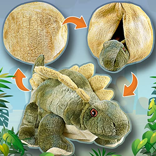 Creanino Dino Kuscheltier 2 in 1 | Plüschtier zum Wenden [Stegosaurus Drake] Dinosaurier Kuscheltier | Plüschtier Dinosaurier | Wende Kuschel Tier | Dino-Plush | Stegosaurus von Creanino