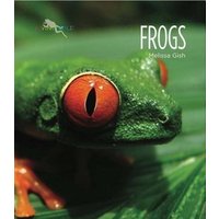 Frogs von Creative Company