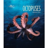 Octopuses von Creative Company