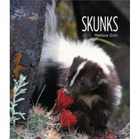 Skunks von Creative Company