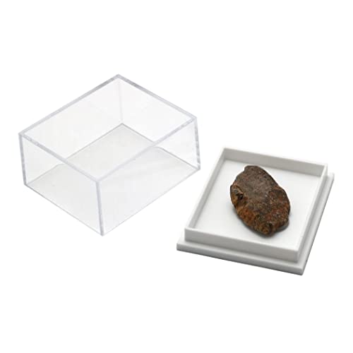 Dinosaurier Bone Fossil Dinosaurier Bone Fossil von CrystalAge