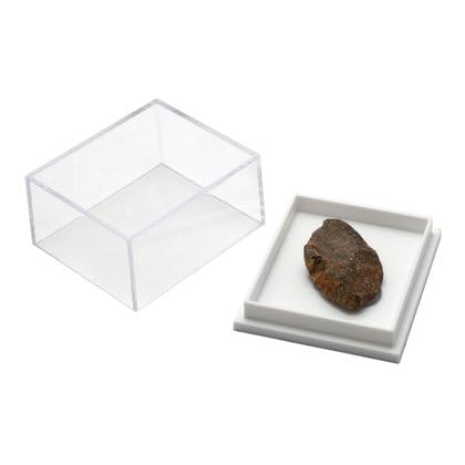 Dinosaurier Bone Fossil von CrystalAge