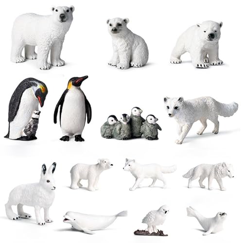 Csafyrt 14pcs arktische Tiere Figuren realistische Tierfiguren umfassen Beluga Wal Seal und mehr pädagogisches Lernspielzeug Csafyrt 14pcs arktische Tiere Figuren realistische Tierfiguren umfassen Beluga Wal Seal und mehr pädagogisches Lernspielzeug von Csafyrt