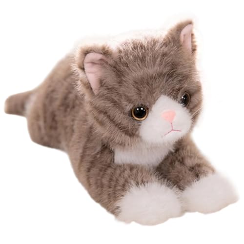 Csafyrt Cat Plüsch entzückende Lügen ausgestopfte Tiere spielerische Leichtigkeit und Begleitkatze Spielzeug Plüsch für Heimwagenreisen Csafyrt Cat Plüsch entzückende Lügen ausgestopfte Tiere spielerische Leichtigkeit und Begleitkatze Spielzeug Plüsch für Heimwagenreisen von Csafyrt