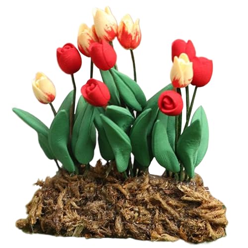 Csafyrt Dollhouse Flowers, 1:12 Harz realistische Tulpen Miniaturblumen für Handwerk, künstliche winzige und ultraleuchte Miniaturanlagen für die Dekoration von Puppenhaus Csafyrt Dollhouse Flowers, 1:12 Harz realistische Tulpen Miniaturblumen für Handwerk, künstliche winzige und ultraleuchte Miniaturanlagen für die Dekoration von Puppenhaus von Csafyrt