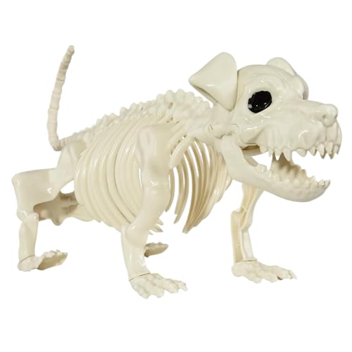 Csafyrt Halloween Skeletthund Plastik gruselig Ganzkörper Welpen Skelettdekor mit Fähigkeiten Realistische Tiere Skeletton Csafyrt Halloween Skeletthund Plastik gruselig Ganzkörper Welpen Skelettdekor mit Fähigkeiten Realistische Tiere Skeletton von Csafyrt