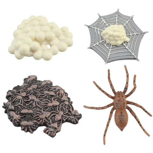 Csafyrt Lebenszyklusspielzeug für Kinder Spider Full Life Cycle Kinder Bildungsspielzeug Safariologie Lernspielzeug entwickelt Fantasie für Kleinkinder und Tierliebhaber Csafyrt Lebenszyklusspielzeug für Kinder Spider Full Life Cycle Kinder Bildungsspielzeug Safariologie Lernspielzeug entwickelt Fantasie für Kleinkinder und Tierliebhaber von Csafyrt