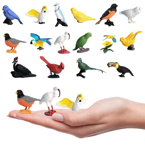 Csafyrt Realistische Vogelfiguren, 16pcs Plastikvogelspielzeug für Kinder, Bildungsspielzeug für Bildungspapagei Csafyrt Realistische Vogelfiguren, 16pcs Plastikvogelspielzeug für Kinder, Bildungsspielzeug für Bildungspapagei von Csafyrt