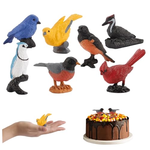 Csafyrt Vogelfiguren, 7pcs Plastik Mini Vogelfigur, Bildung Oriole Robin Kardinalspielzeug für Kinder, Kuchen -Topper und Dekoration von Csafyrt