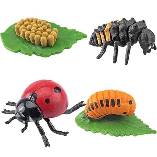 Marienkäfer wachsen Kit Lebenszyklusspielzeug für Kinder Simulation Tierfiguren Bildungsspielzeug für Jungen Mädchen Marienkäfer wachsen Kit Lebenszyklusspielzeug für Kinder Simulation Tierfiguren Bildungsspielzeug für Jungen Mädchen von Csafyrt
