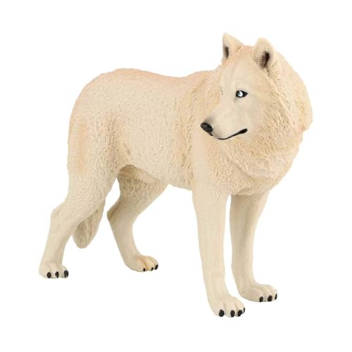 Csnbfiop Detaillierte Wolfsmodell Simulationstierfigur Für Wildtier Enthusiasten Ausstellung Und Unterrichtsunterricht Aus Kunststoff Csnbfiop Detaillierte Wolfsmodell Simulationstierfigur Für Wildtier Enthusiasten Ausstellung Und Unterrichtsunterricht Aus Kunststoff von Csnbfiop