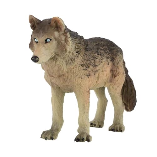 Csnbfiop Detaillierte Wolfsmodell Simulationstierfigur Für Wildtier Enthusiasten Ausstellung Und Unterrichtsunterricht Aus Kunststoff Csnbfiop Detaillierte Wolfsmodell Simulationstierfigur Für Wildtier Enthusiasten Ausstellung Und Unterrichtsunterricht Aus Kunststoff von Csnbfiop