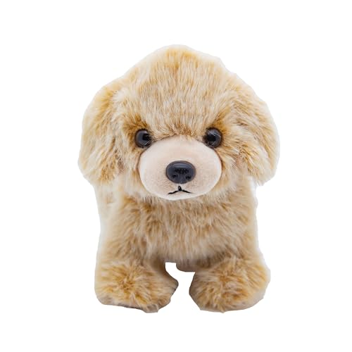 Cute Since 1999 Kuscheltier Baby ab 0 Monate - Kuscheltiere für Junge & Mädchen - Sachen & Geschenk für Neugeborene - Plüschtiere Kinder - Stehendes Stofftiere (Hund 22cm) von Cute Since 1999