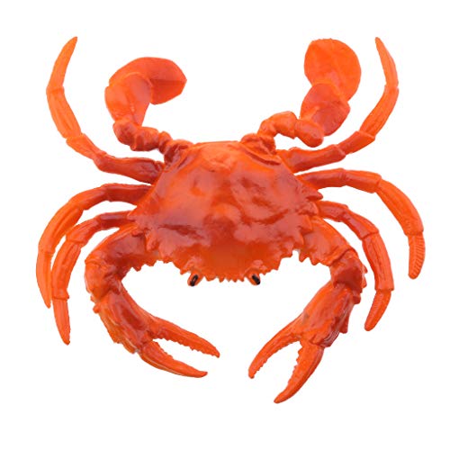 D DOLITY Süße Krabbe Tierfigur für Strand Schaufenster Party Sommer Meer Strand Fisch Urlaubsdeko Deko - Rote Krabbe - B von D DOLITY
