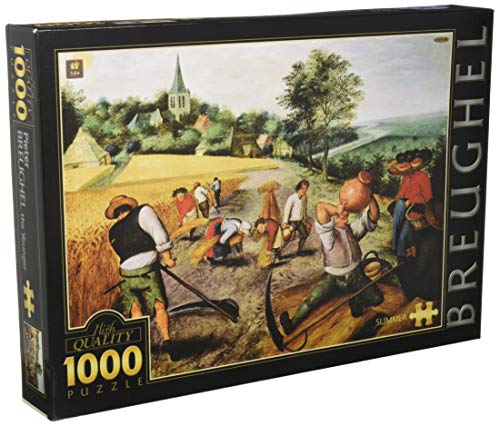 D-Toys Puzzle, 1000 Stück, 66947 BR 02, einfarbig von D-Toys