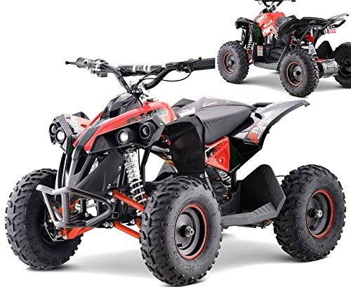 Elektro Quad 1060W 48V Kinder Buggy Miniquad 55944 AWZ Atv Kinderquad Miniquad Pocketbike 48 Volt Scheibenbremse Elektro Quad 1060W 48V Kinder Buggy Miniquad 55944 AWZ Atv Kinderquad Miniquad Pocketbike 48 Volt Scheibenbremse von D&L