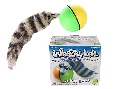 D.Y.Toy 8038H - Weazelball, Motorball+Wiesel, sortierte Farben D.Y.Toy 8038H - Weazelball, Motorball+Wiesel, sortierte Farben von D.Y. Toy