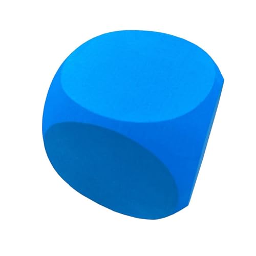 DABAIXIONG Übergroße Dices 10cm Lernable Gaming Dices Big Dices Bildungsspielzeug Teaching Aid Dices Für Bildung Und Partyspiel von DABAIXIONG