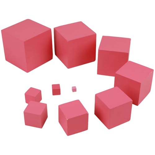 DAGLLGEW 10 Stück Montessori-Turm, Holzwürfel, Lernspielzeug, frühes Vorschul-Sinnesspielzeug, 0, 4–3, 9 Zoll, für Kleinkinder, Kinder, Lernspielzeug für 3-Jährige, Holzstapelspielzeug, Holzspielzeug von DAGLLGEW