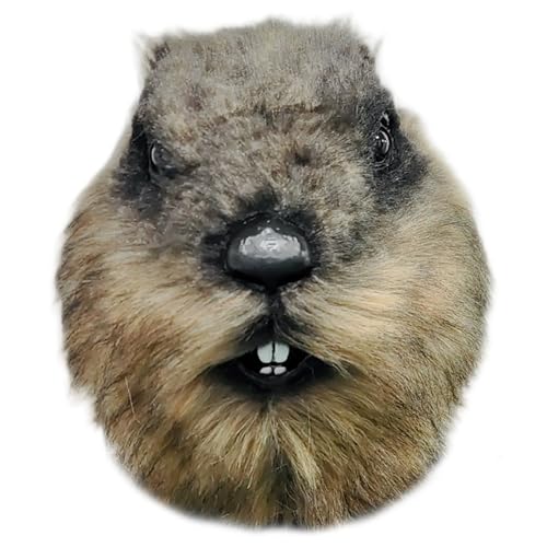DAGLLGEW Murmeltiermaske, 27, 9 cm, Ganzkopf-Murmeltier-Pelzmaske, Halloween-Cosplay-Kostüm-Requisite für Partybälle, Halloween-Maske, Tiermasken, Ganzkopfmaske, Dekorationen DAGLLGEW Murmeltiermaske, 27, 9 cm, Ganzkopf-Murmeltier-Pelzmaske, Halloween-Cosplay-Kostüm-Requisite für Partybälle, Halloween-Maske, Tiermasken, Ganzkopfmaske, Dekorationen von DAGLLGEW