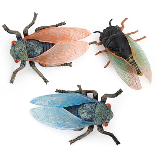 DAGLLGEW Stück realistische Tierfiguren, Zikadenmodell, Lernspielzeug, Wissenschaftsprojekt, Kuchendekoration für Kinder und Kleinkinder, Mini-Tierfiguren, Kinderspielzeug, Lernen von DAGLLGEW