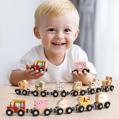 DAJASD Holz Zug Spielzeug, Magnetisches Tier Holzzug, Magnetic Zug Holzspielzeug Lernspielzeug Geschenk für Jungen und Mädchen Spielerisches Lernen & Feinmotorik Fördern von DAJASD