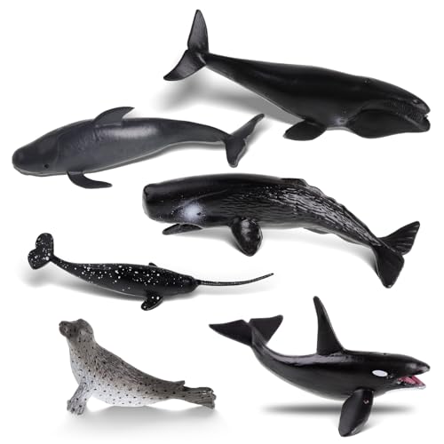 DAJISI 6 Stück Hai, Baby Shark Spielzeug Tiere Spielzeug Kunststoff Meerestiere Figuren Spielfiguren Kinder Hai Deko Tortendekoration für Kinder DAJISI 6 Stück Hai, Baby Shark Spielzeug Tiere Spielzeug Kunststoff Meerestiere Figuren Spielfiguren Kinder Hai Deko Tortendekoration für Kinder von DAJISI