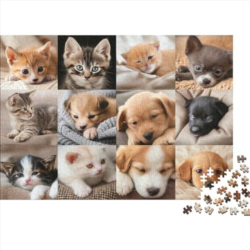 Cute Pets 300 Teile Puzzle Puzzle-Geschenk Geschicklichkeitsspiel Für Erwachsene Und Kinder 100% Recycelten Kartons 300pcs (40x28cm) von DAKINCHERRY