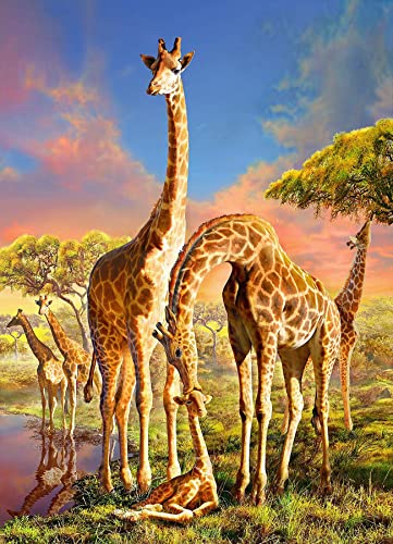 Puzzles für Erwachsene 1000 Teile,Giraffe Puzzle, Holzpuzzles, Familiendekoration, (G3, 1000 Teile) von DALUOHAOFAN