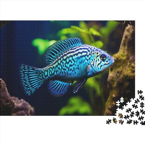 Imeson_a_Photograph_of_This_Fish_Electric_Blue_Jack_Dempsey_in__f7f2eed6-6ccd-410f-9e6a-fda71bc9bb50 500 Teile Puzzle Erwachsene Puzzel Impossible Puzzle Geschicklichkeits Spiel Spaß Familien Puzzle von DALWI