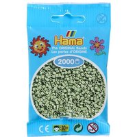 HAMA Mini-Perlen 2000 Stck. Eukalyptus von DAN