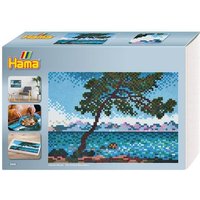 Hama 3606 - Hama Art Geschenkbox Claude Monet mit ca. 10000 Midi-Bügelperlen, Stiftplatten und Zubehör von DAN