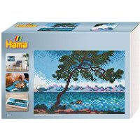Hama 3606 - Hama Art Geschenkbox Claude Monet mit ca. 10000 Midi-Bügelperlen, Stiftplatten und Zubehör Hama 3606 - Hama Art Geschenkbox Claude Monet mit ca. 10000 Midi-Bügelperlen, Stiftplatten und Zubehör von DAN