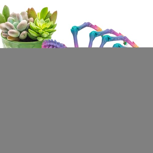 DAWCBVJQ 3D-gedruckte bewegliche Spinne, 3D-gedrucktes Spinnenspielzeug, Artikulierte gefälschte Spinnenfiguren, 3D bewegliche Spinne Erwachsene Fidget Toys Mystery Spider Halloween Dekorationen DAWCBVJQ 3D-gedruckte bewegliche Spinne, 3D-gedrucktes Spinnenspielzeug, Artikulierte gefälschte Spinnenfiguren, 3D bewegliche Spinne Erwachsene Fidget Toys Mystery Spider Halloween Dekorationen von DAWCBVJQ