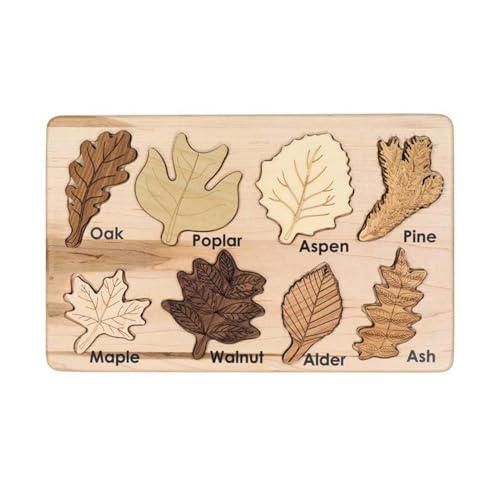 DAWCBVJQ Blattspielzeug, 25x15x0.5cm Blattpuzzle Aus Holz, Blattförmiges Montessor Puzzle, Pädagogisches Lernspielzeug, Buntes Form-Puzzlebrett, Vorschulspielzeug Für Jungens Mädchen von DAWCBVJQ
