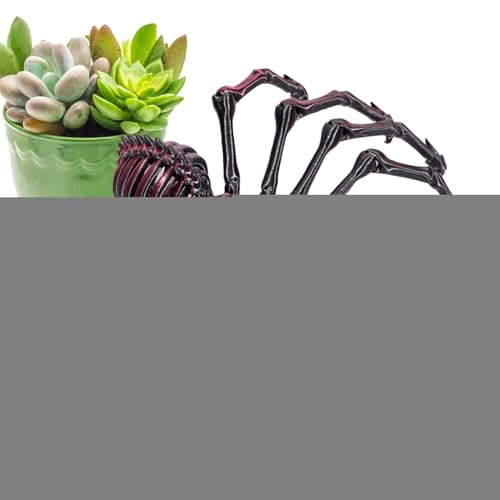 DAWCBVJQ Gelenkspinne, Spinnen-Zappelspielzeug - 3D-gedrucktes Zappelspielzeug für Erwachsene - 3D bewegliche Spinne Erwachsene Fidget Toys Mystery Spider Halloween Dekorationen DAWCBVJQ Gelenkspinne, Spinnen-Zappelspielzeug - 3D-gedrucktes Zappelspielzeug für Erwachsene - 3D bewegliche Spinne Erwachsene Fidget Toys Mystery Spider Halloween Dekorationen von DAWCBVJQ